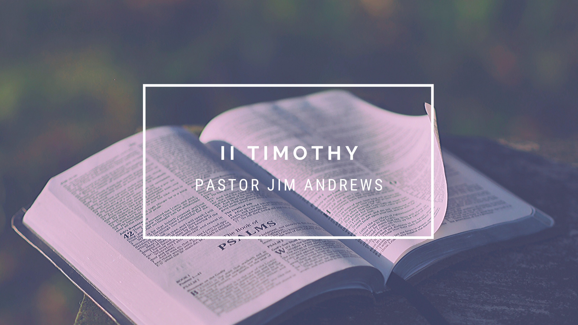 TFW 2 Timothy
