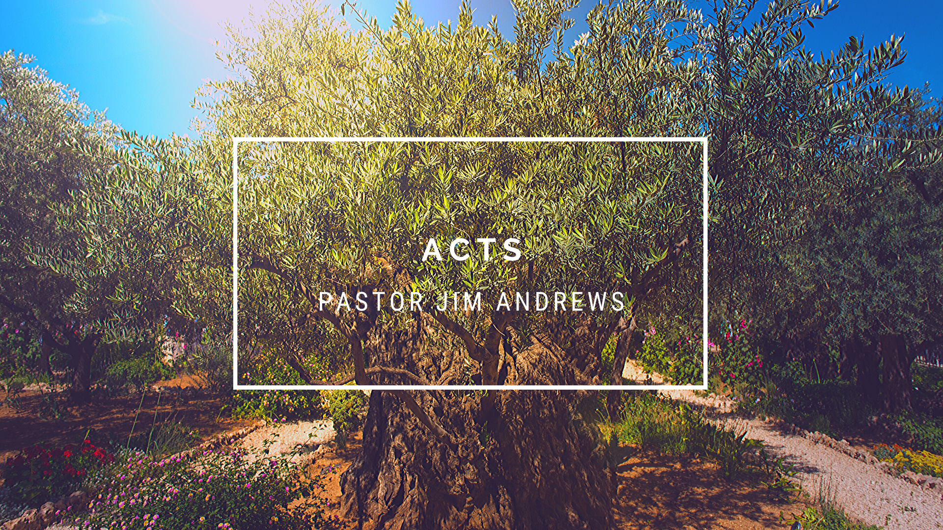 TFW Acts