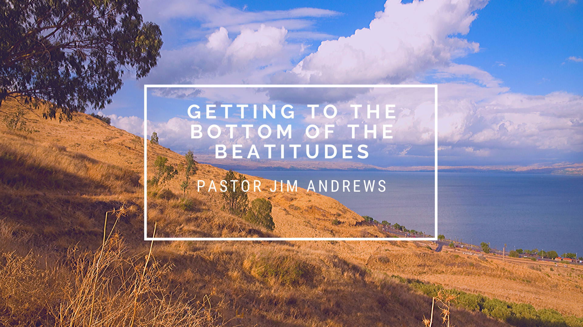 TFW Beatitudes