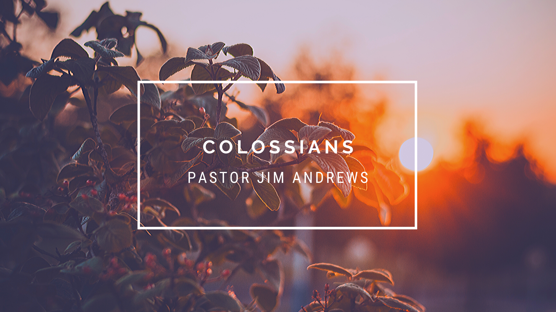 TFW Colossians