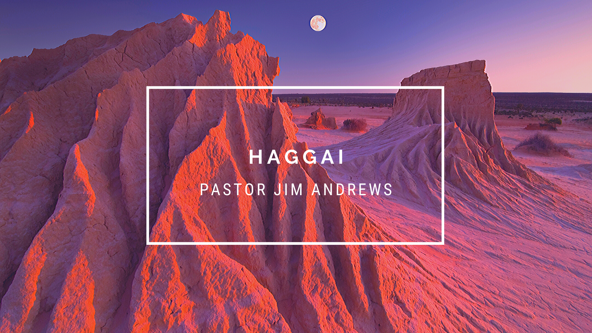 TFW Haggai