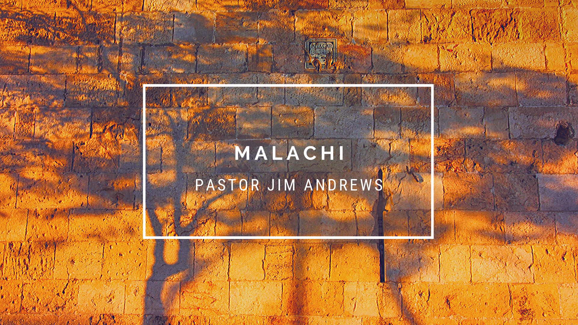 TFW Malachi