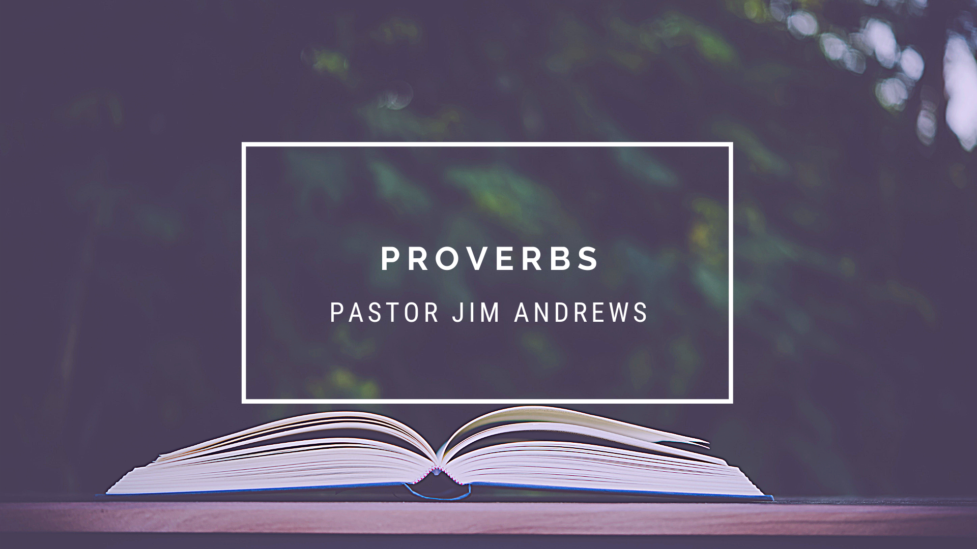 TFW Proverbs