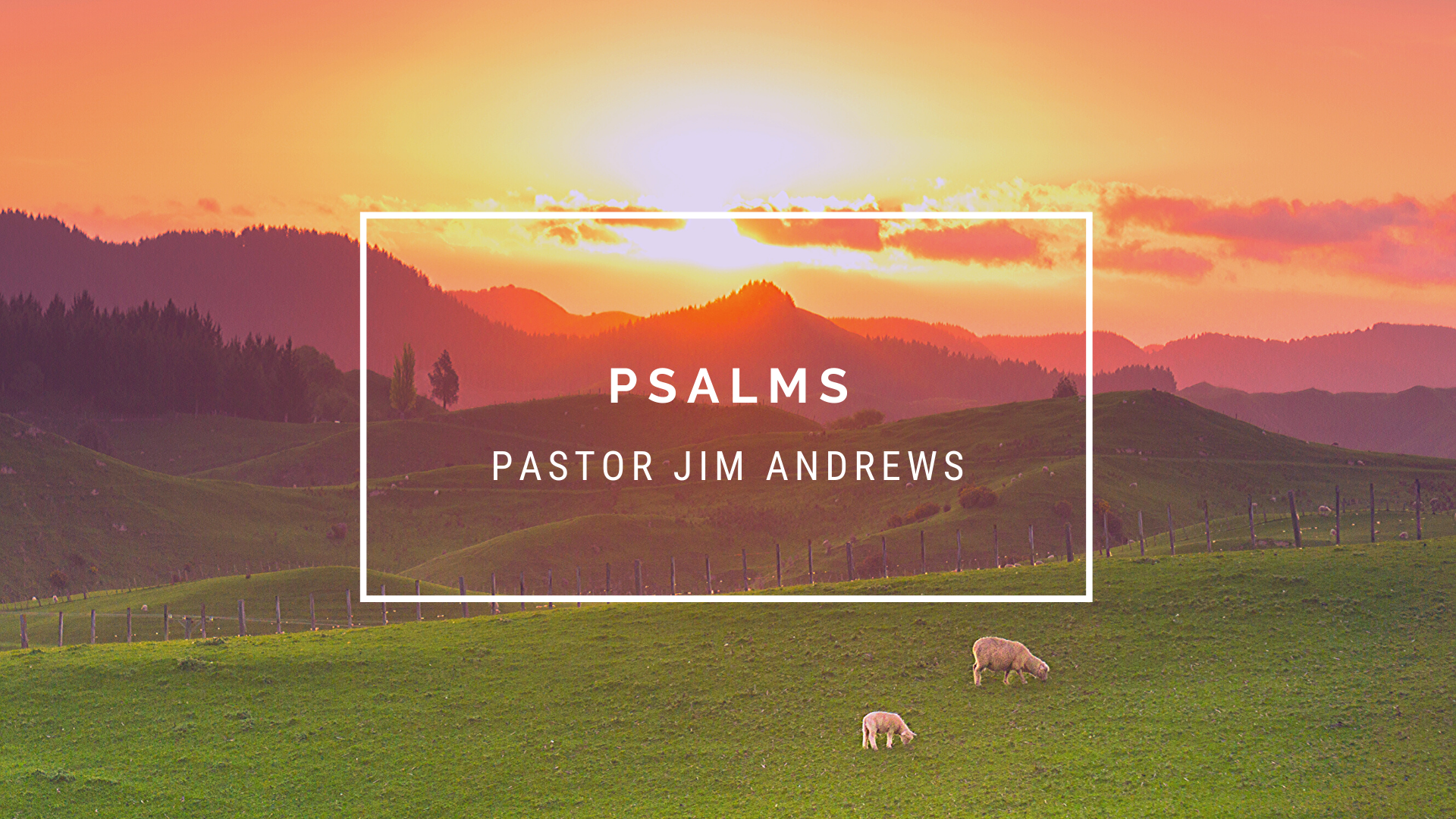 TFW Psalms